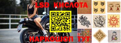 гашик Кунгур