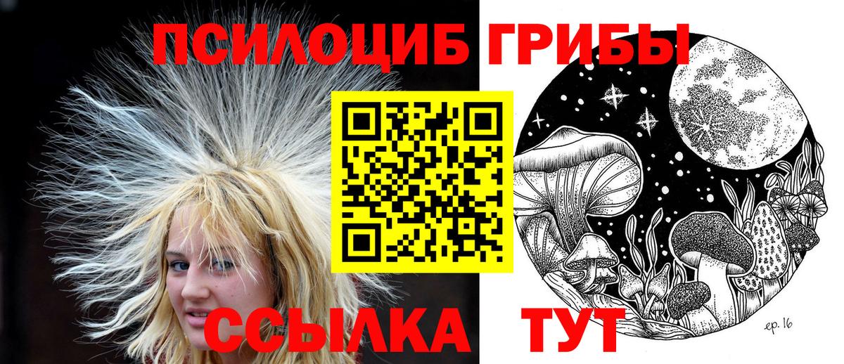 Зеленокумск  Галлюциногенные грибы Magic Shrooms  цены   Вход с VPN  Галлюциногенные грибы Magic Shrooms 