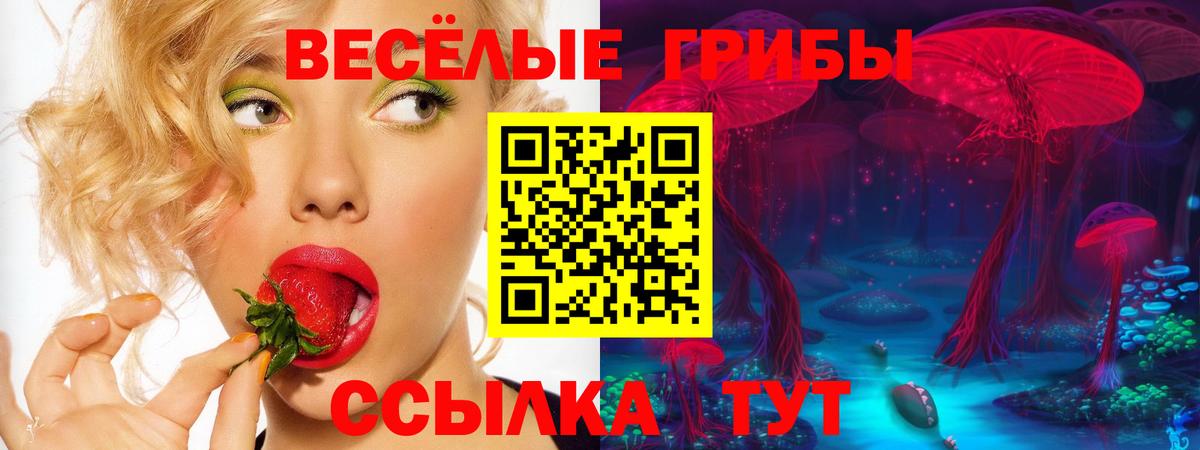 Псилоцибиновые грибы GOLDEN TEACHER Зеленокумск