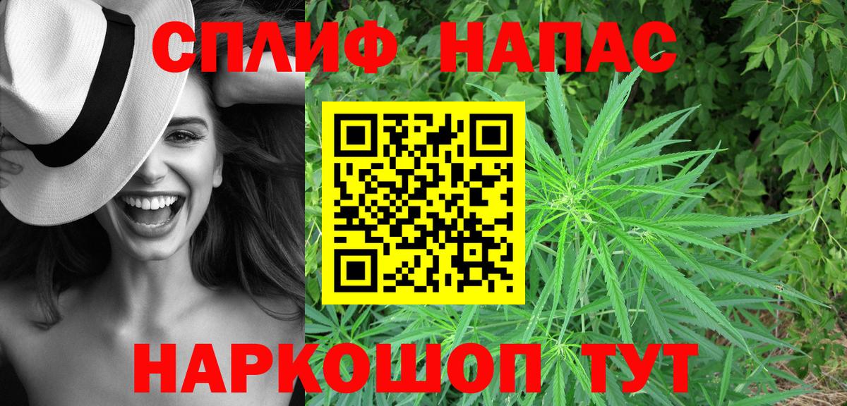 Канабис Ganja  Бошки марихуана план  Вход с VPN  Зеленокумск  Бошки марихуана White Widow 